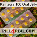 Kamagra 100 Oral Jelly new10